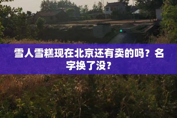 雪人雪糕现在北京还有卖的吗？名字换了没？