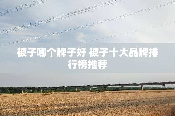 被子哪个牌子好 被子十大品牌排行榜推荐