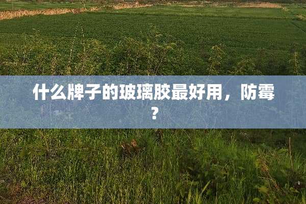 什么牌子的玻璃胶最好用，防霉？