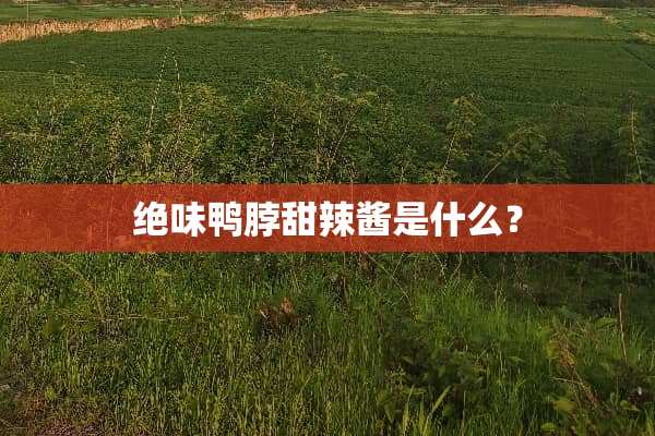绝味鸭脖甜辣酱是什么？
