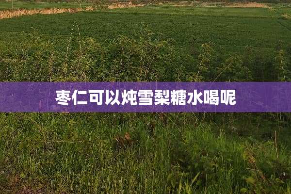 枣仁可以炖雪梨糖水喝呢