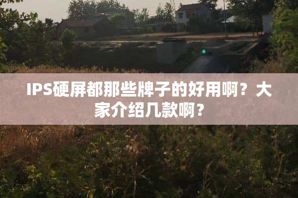 IPS硬屏都那些牌子的好用啊？大家介绍几款啊？