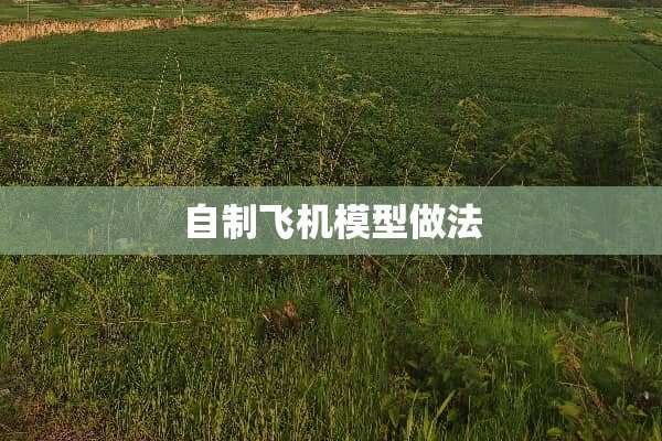 自制飞机模型做法
