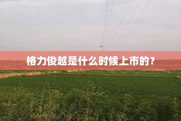 格力俊越是什么时候上市的？