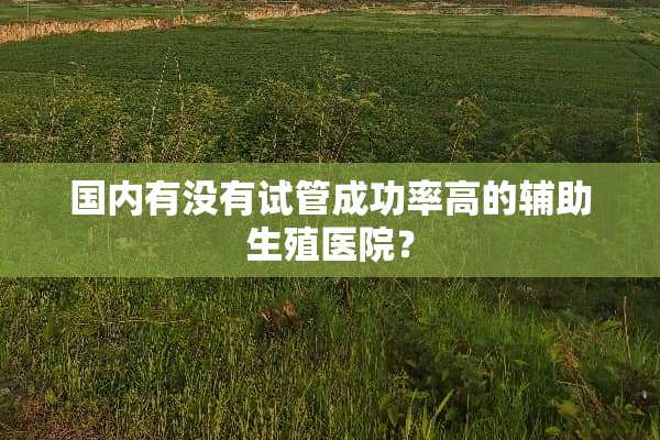 国内有没有试管成功率高的辅助生殖医院？