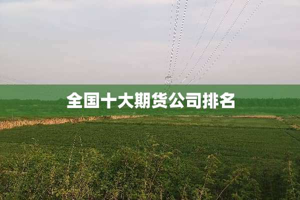 全国十大期货公司排名
