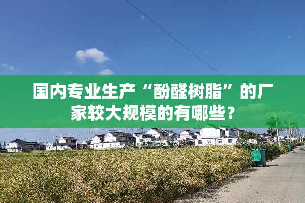 国内专业生产“酚醛树脂”的厂家较大规模的有哪些？