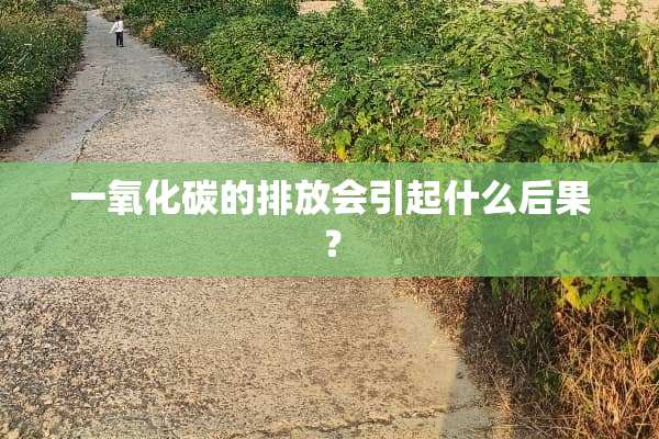 一**碳的排放会引起什么后果？