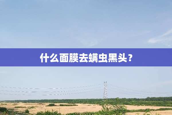 什么面膜去螨虫黑头？