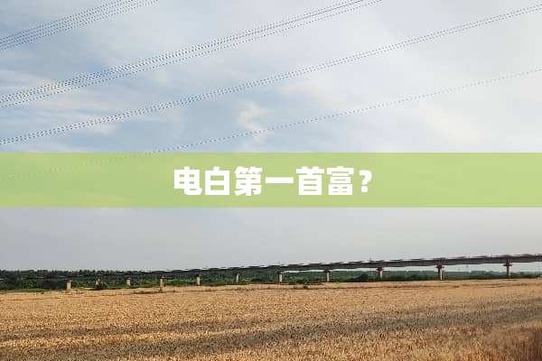 电白第一首富？