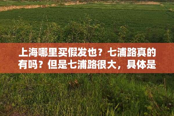 上海哪里买假发也？七浦路真的有吗？但是七浦路很大，具体是哪里啊？