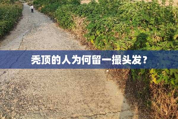 秃顶的人为何留一撮头发？