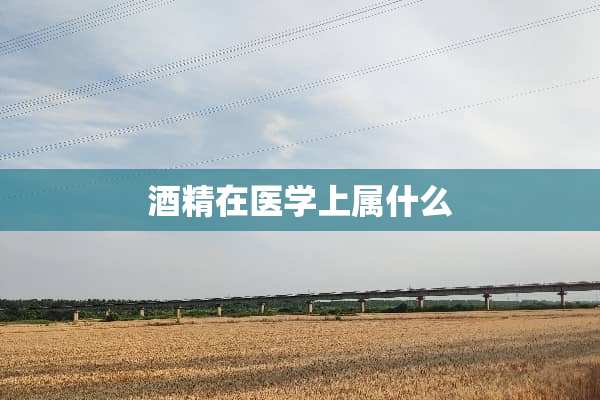酒精在医学上属什么