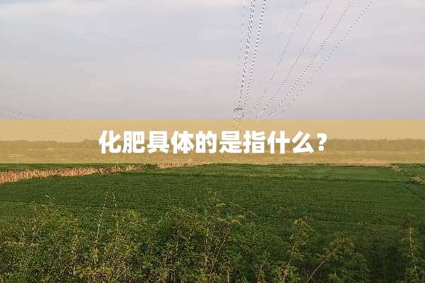 化肥具体的是指什么？