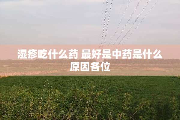 湿疹吃什么药 最好是中药是什么原因各位