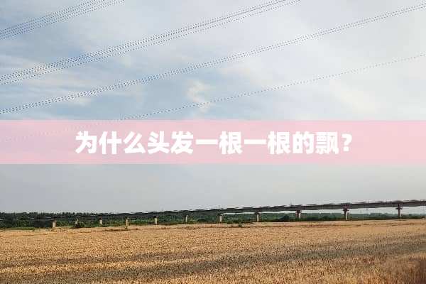 为什么头发一根一根的飘？