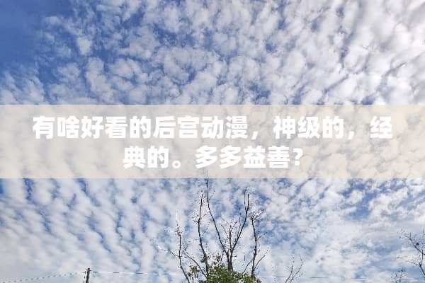 有啥好看的后宫动漫，神级的，经典的。多多益善？