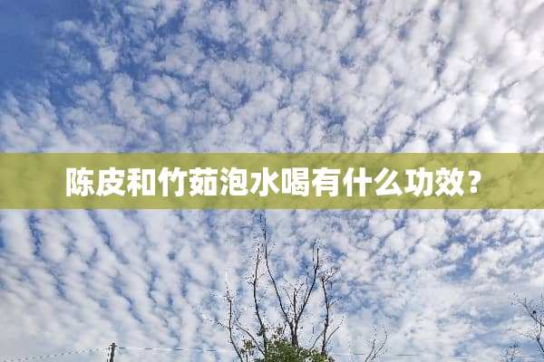 陈皮和竹茹泡水喝有什么功效？