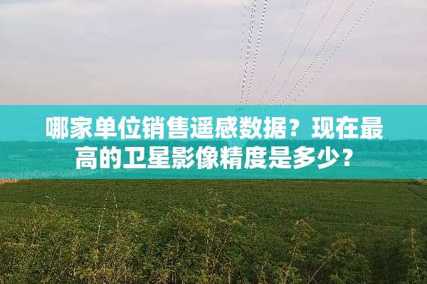 哪家单位销售遥感数据？现在最高的卫星影像精度是多少？
