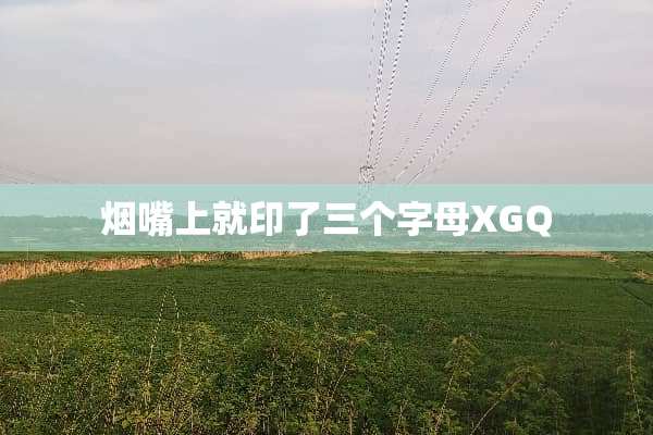 烟嘴上就印了三个字母XGQ