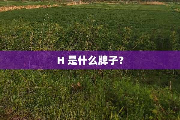 H 是什么牌子？
