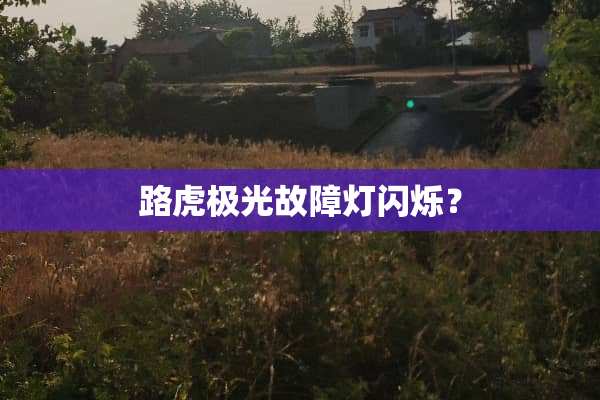 路虎极光故障灯闪烁？