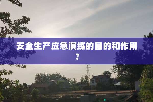 安全生产应急演练的目的和作用？