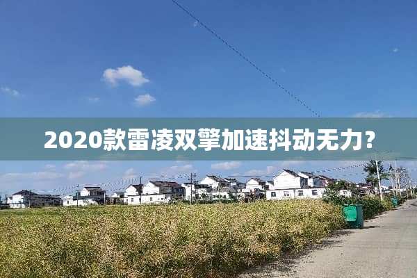 2020款雷凌双擎加速抖动无力？