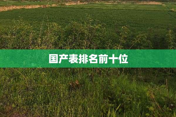国产表排名前十位