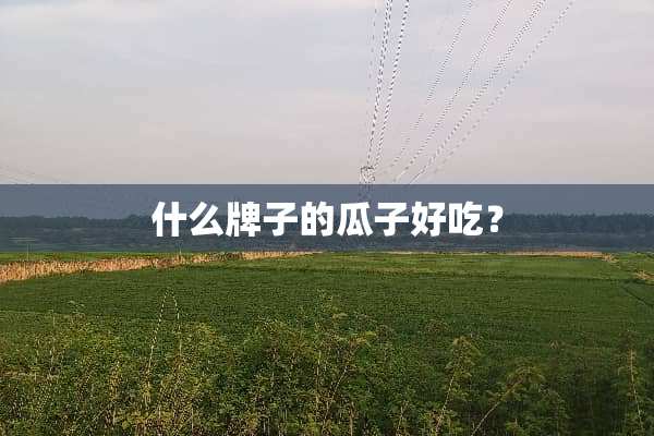 什么牌子的瓜子好吃？