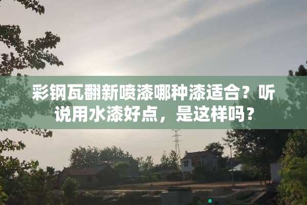 彩钢瓦翻新喷漆哪种漆适合？听说用水漆好点，是这样吗？