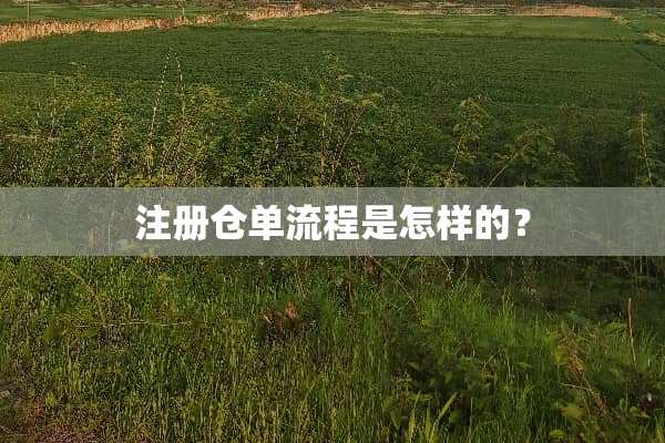 注册仓单流程是怎样的？