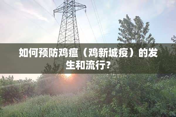 如何预防鸡瘟（鸡新城疫）的发生和流行？