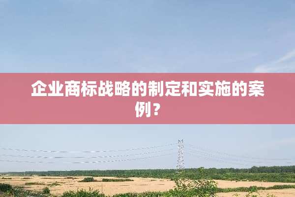 企业商标战略的制定和实施的案例？
