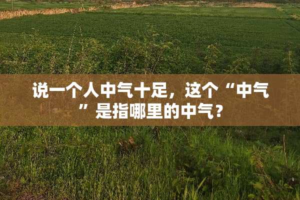 说一个人中气十足，这个“中气”是指哪里的中气？