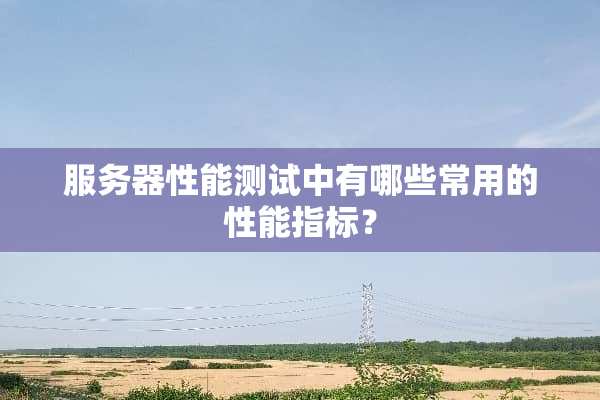 服务器性能测试中有哪些常用的性能指标？