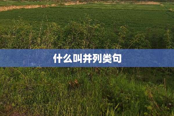 什么叫并列类句