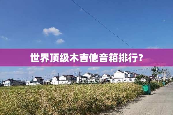 世界**木吉他音箱排行？