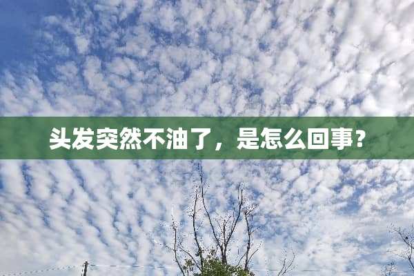 头发突然不油了，是怎么回事？