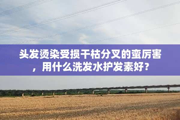 头发烫染受损干枯分叉的蛮厉害，用什么洗发水护发素好？