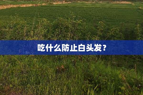 吃什么防止白头发？