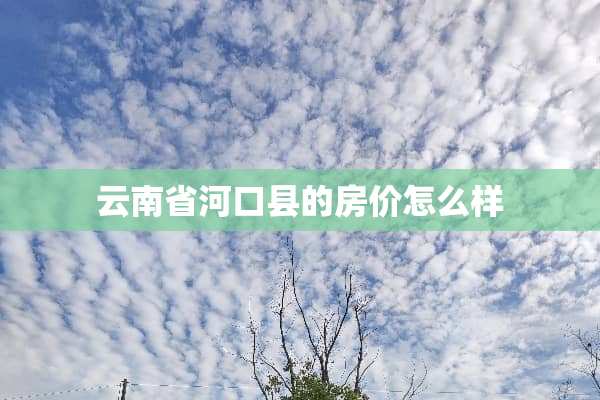云南省河口县的房价怎么样