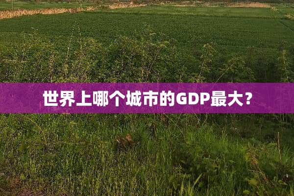 世界上哪个城市的GDP最大？
