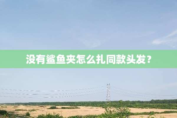 没有鲨鱼夹怎么扎同款头发？