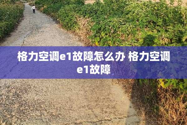 格力空调e1故障怎么办 格力空调e1故障