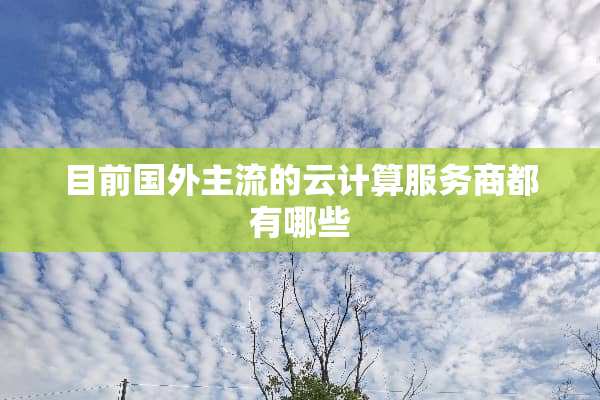 目前国外主流的云计算服务商都有哪些