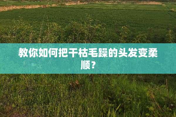 教你如何把干枯毛躁的头发变柔顺？