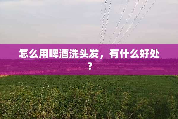 怎么用啤酒洗头发，有什么好处？