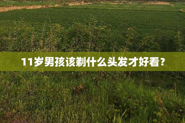 11岁男孩该剃什么头发才好看？