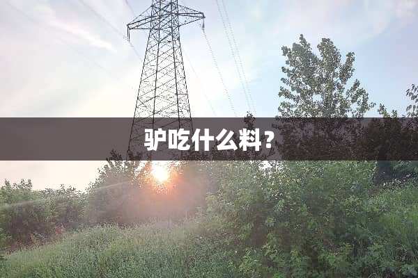驴吃什么料？